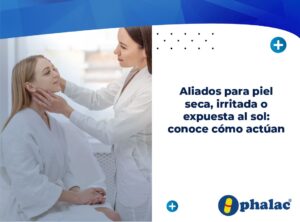 Aliados para piel seca, irritada o expuesta al sol: conoce cómo actúa