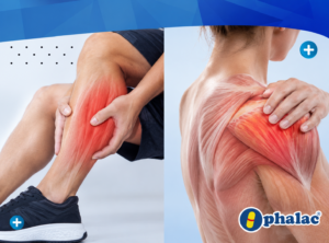 Dolor Muscular: Causas Más Comunes y Cómo Aliviarlo en Casa